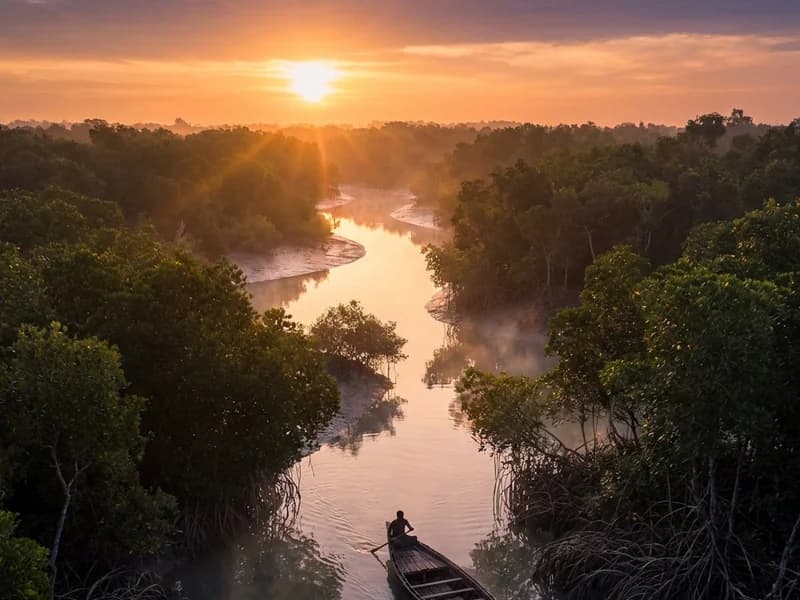 Sundarbans